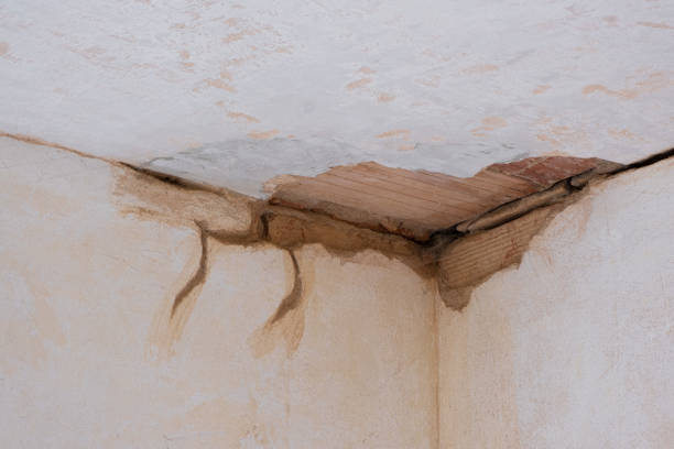 Trusted Water Damage Restoration in San Ysidro, NM | Fast, Reliable, and Ready to Assist You